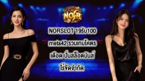 NORSLOT 19รับ100meta42